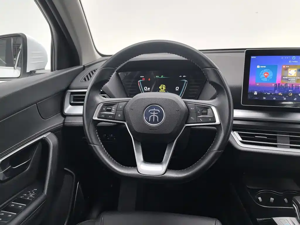 BYD Pro — миниатюра 11