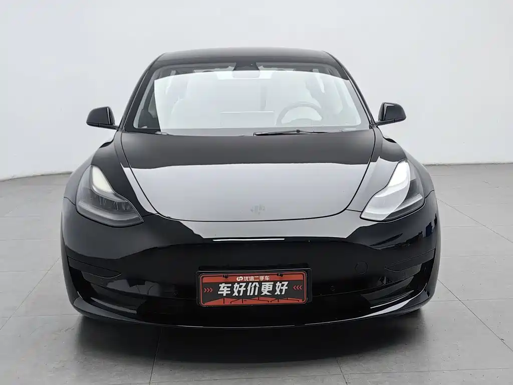 Tesla Model 3 — миниатюра 3