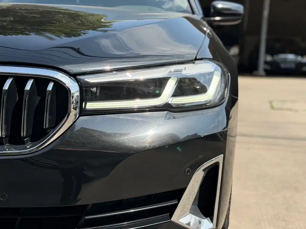 BMW 5 Series 5 2021 530Li Premium Luxury