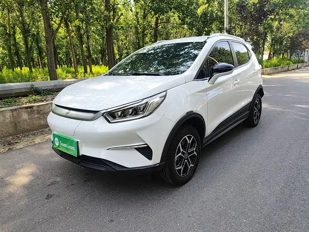 BYD Yuan Pro Pro 2021 401KM Luxury