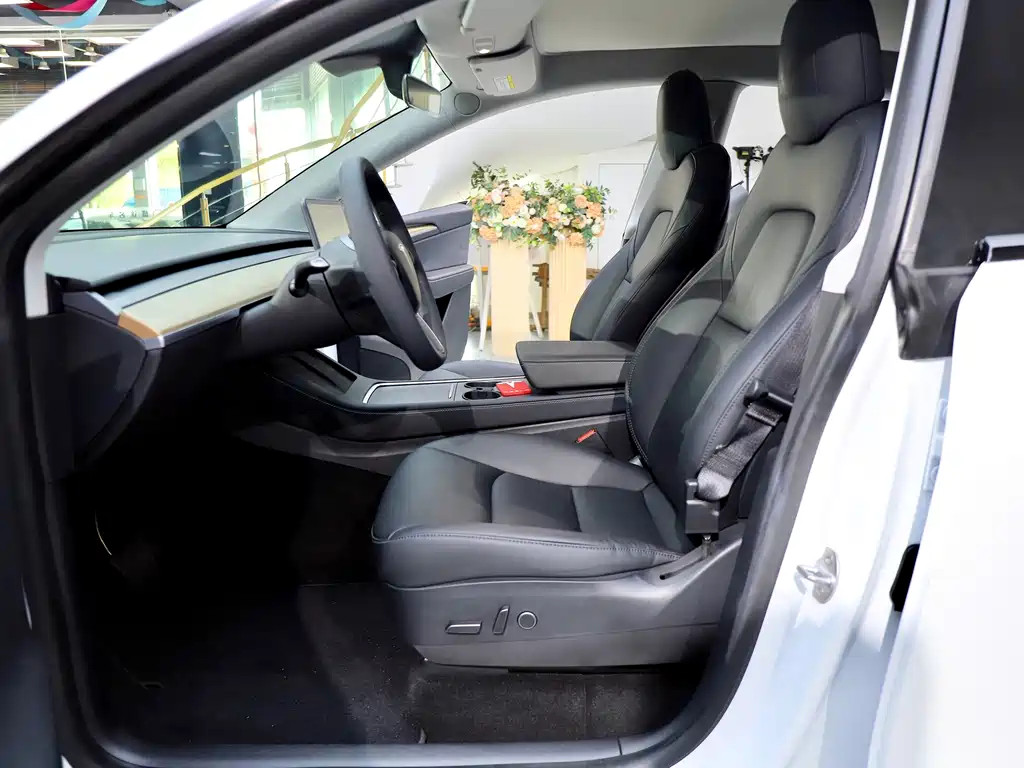 Tesla Model Y — миниатюра 8