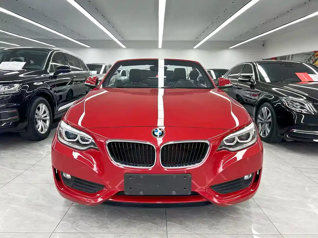 BMW 2 Series (Import) — миниатюра 2