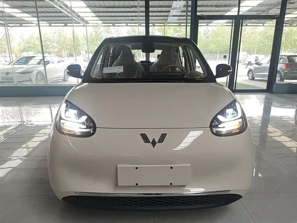 Wuling Binguo 2025 333km Enjoy
