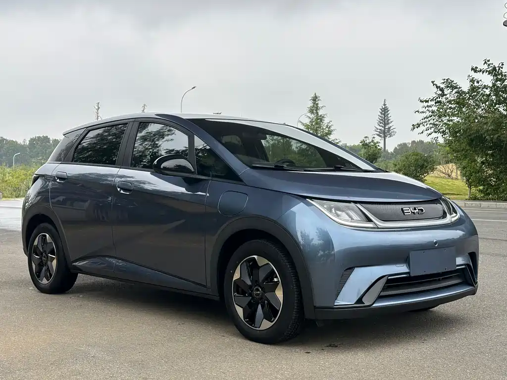 BYD Dolphin — миниатюра 3