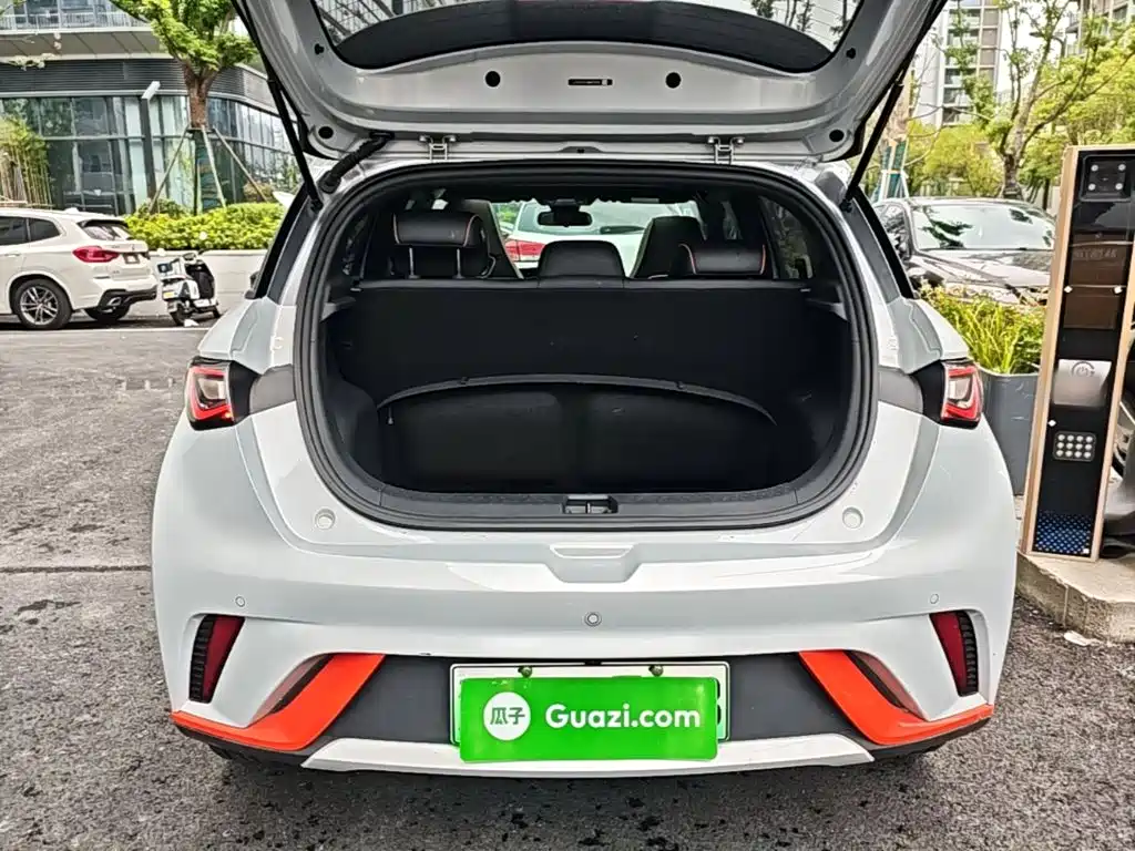 BYD Dolphin — миниатюра 19