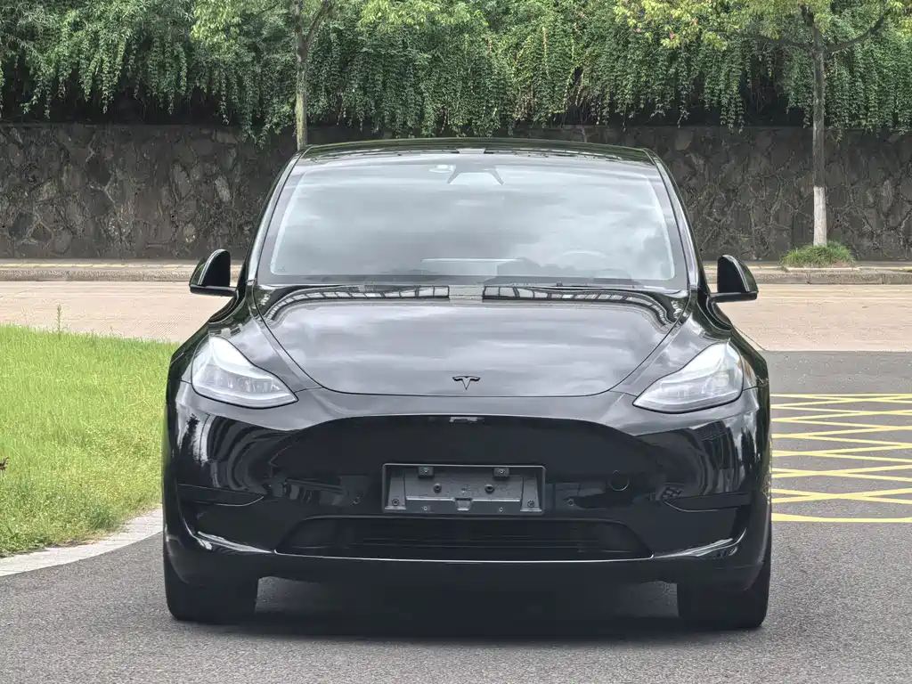 Tesla Model Y — миниатюра 2