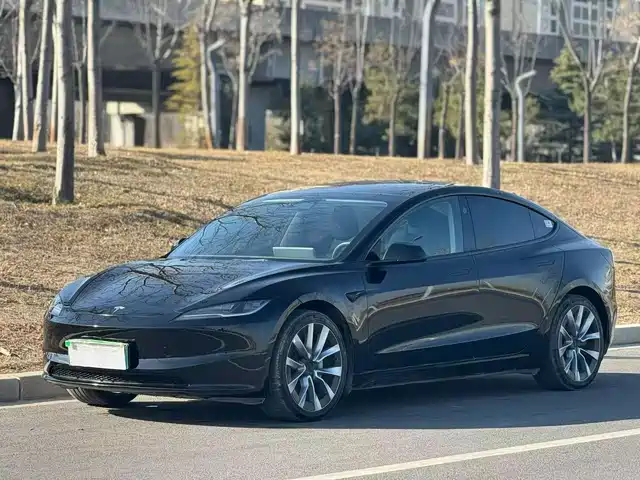 TESLA MODEL 3 2024