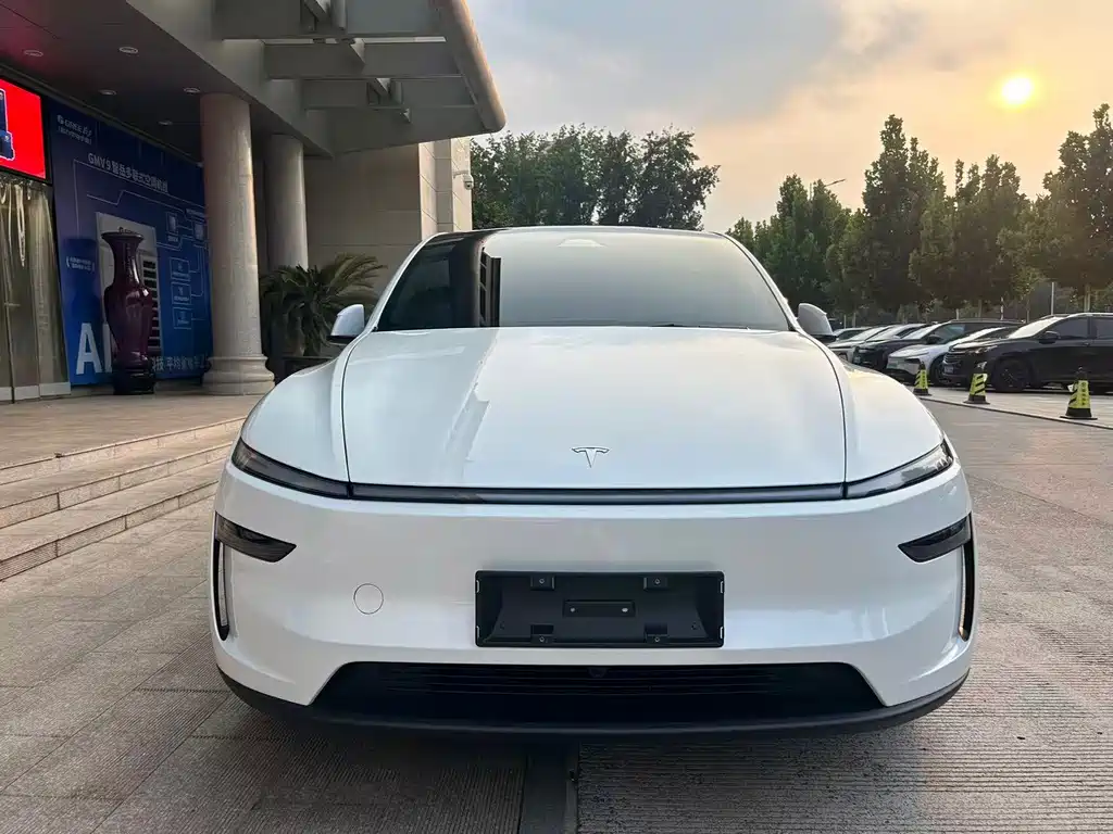Tesla Model Y — фотографии объявления, Фото 2