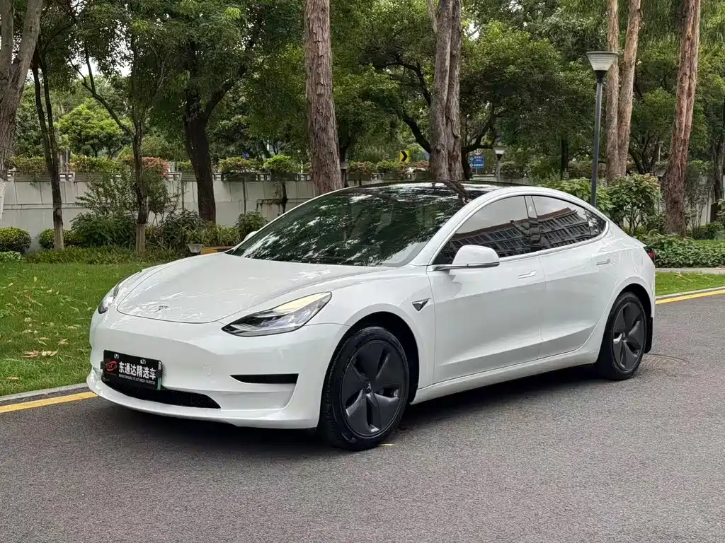 Tesla Model 3 2020