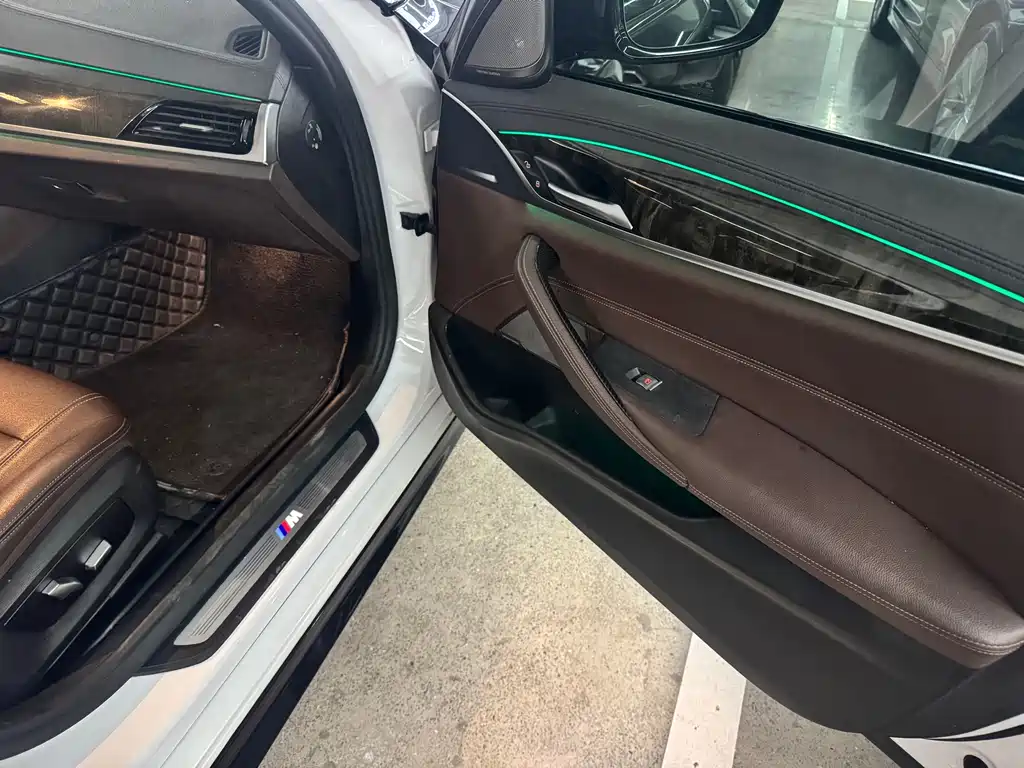 BMW 5 Series 5 2019 525Li M Sport