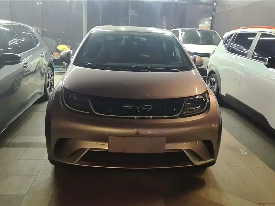 BYD Dolphin 2021 405km Freedom