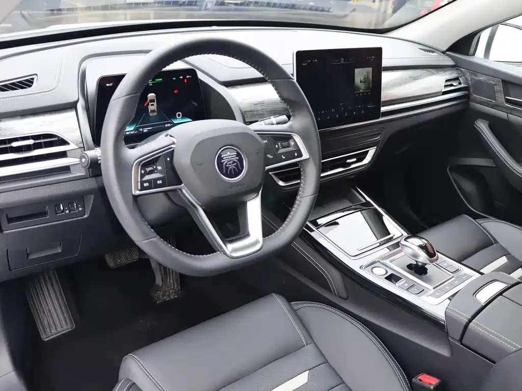 BYD Qin Pro NEV — миниатюра 6