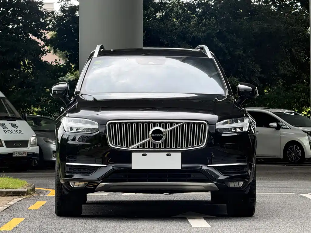 Volvo XC90 — миниатюра 3