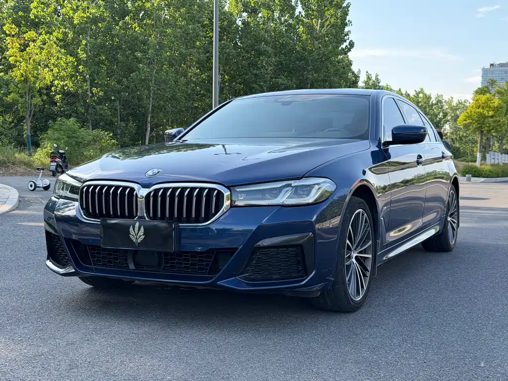 BMW 5 Series 2021