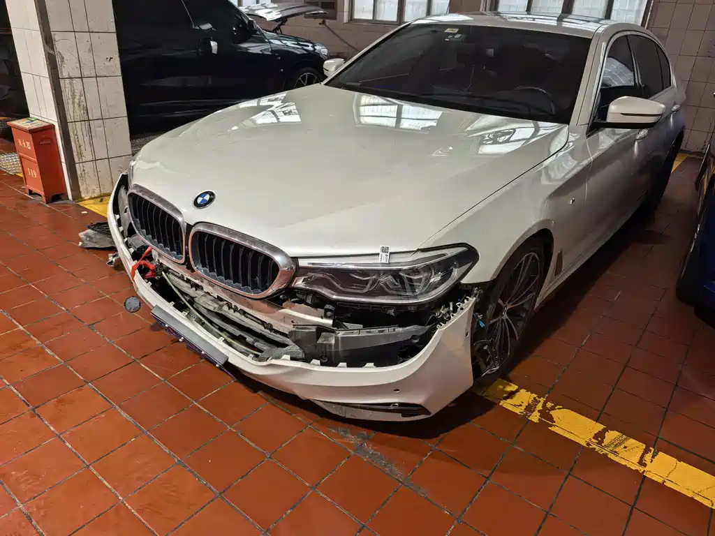 BMW 5 Series 5 2020 530Li Premium M Sport