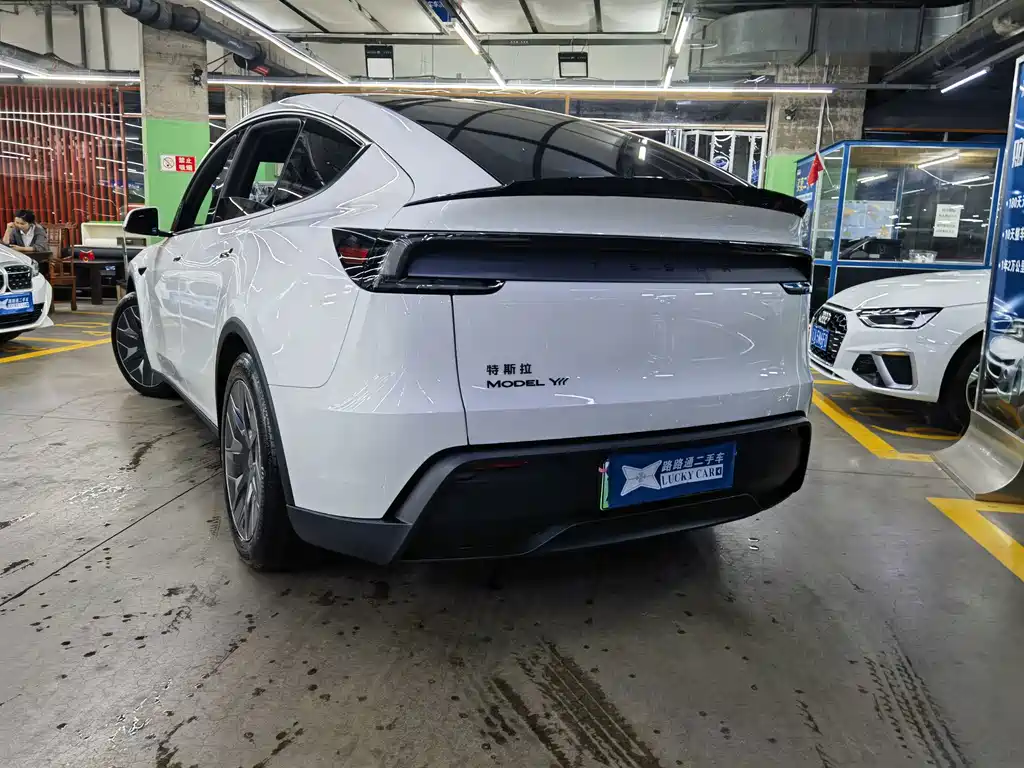Tesla Model Y L — миниатюра 4