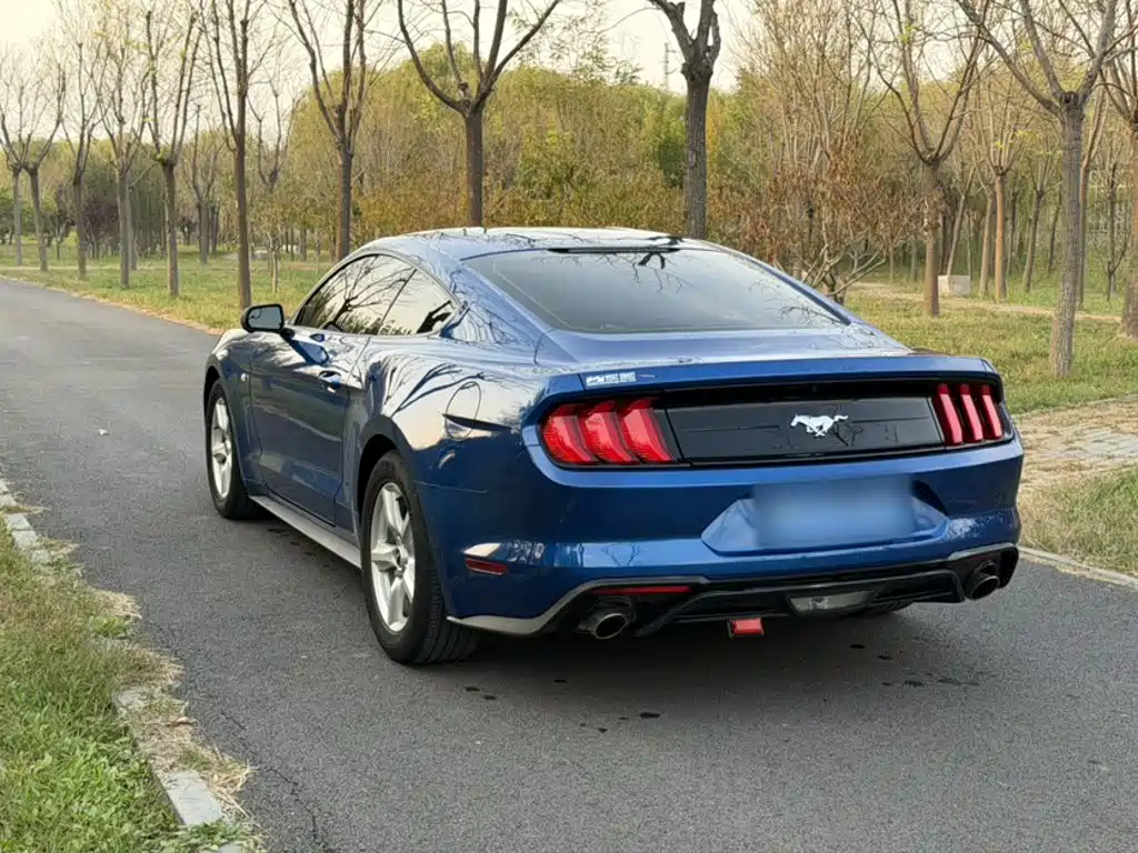 Ford Mustang — миниатюра 5