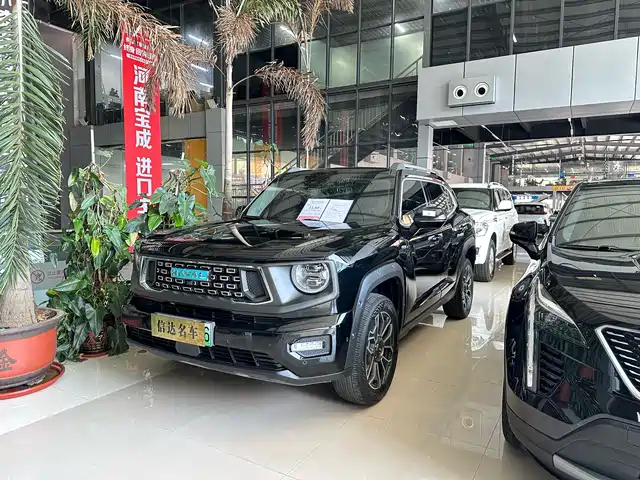 HAVAL  SECOND GENERATION BIG DOG NEW ENERGY 2024