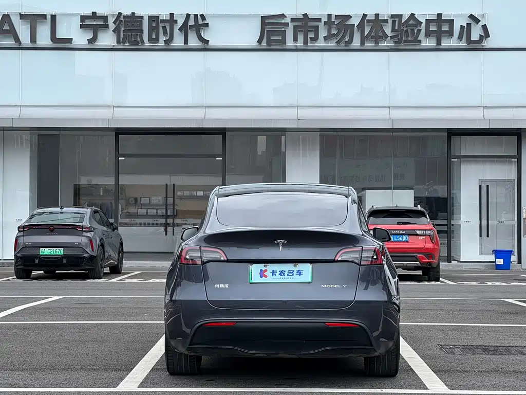 Tesla Model Y — миниатюра 4