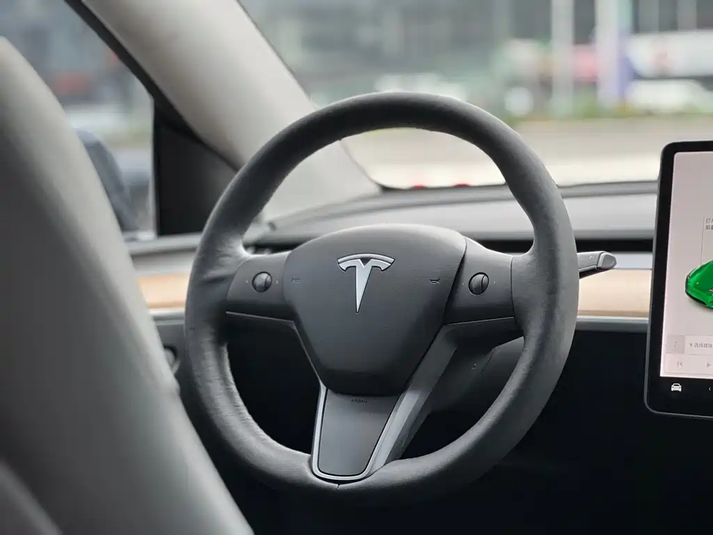 Tesla Model Y — миниатюра 6