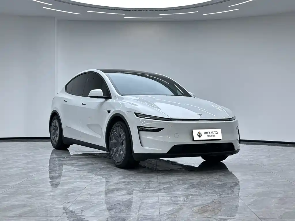 Tesla Model Y L