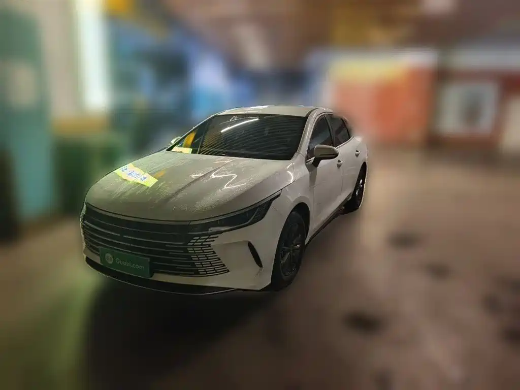 Byd Destroyer 05 2024