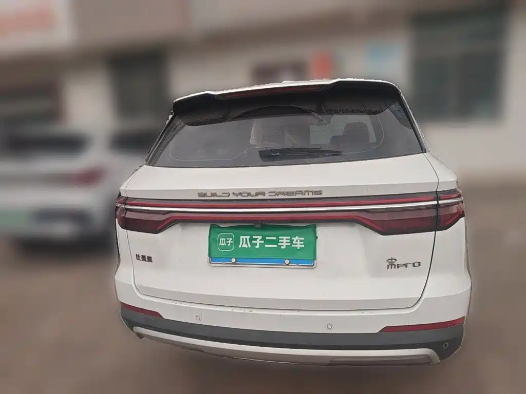 BYD Pro — миниатюра 4