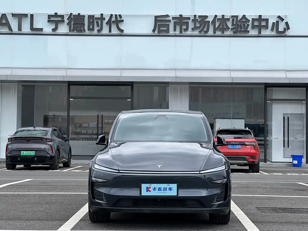 Tesla Model Y — миниатюра 3