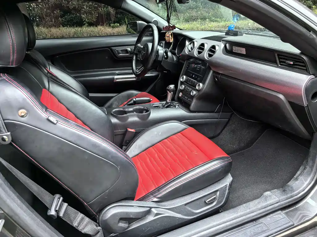 Ford Mustang — миниатюра 8