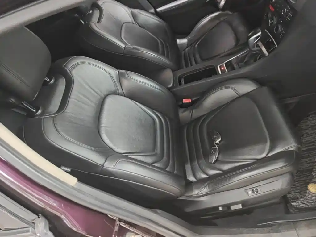 DS DS 5LS — миниатюра 25