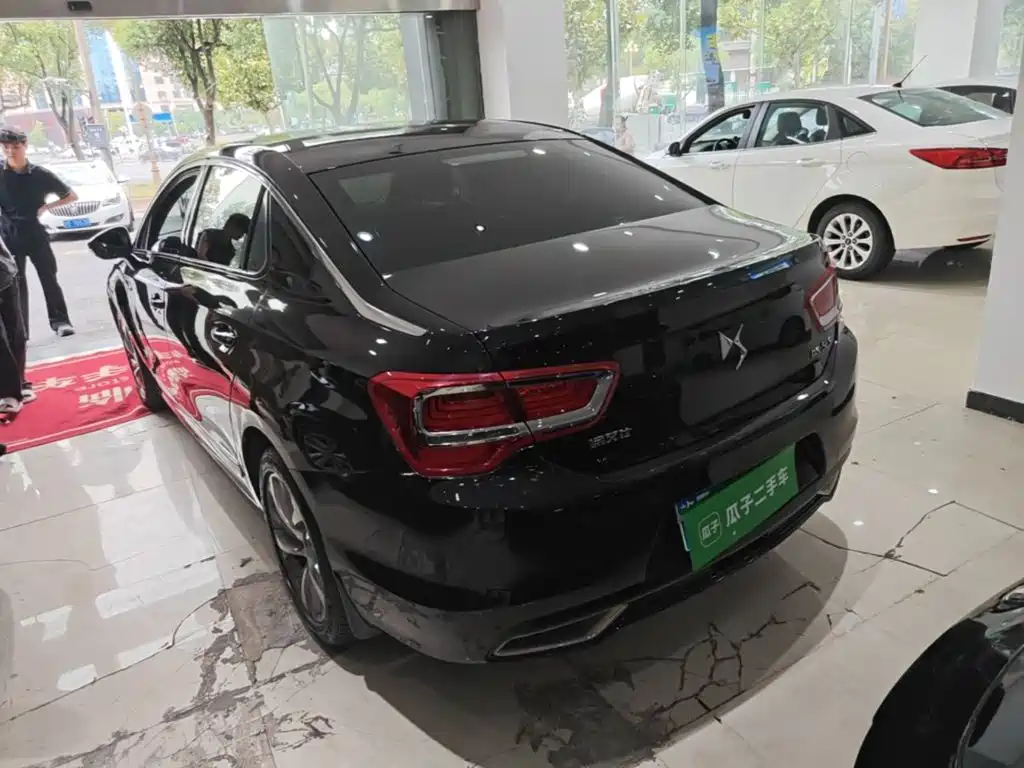 DS DS 5LS — миниатюра 5