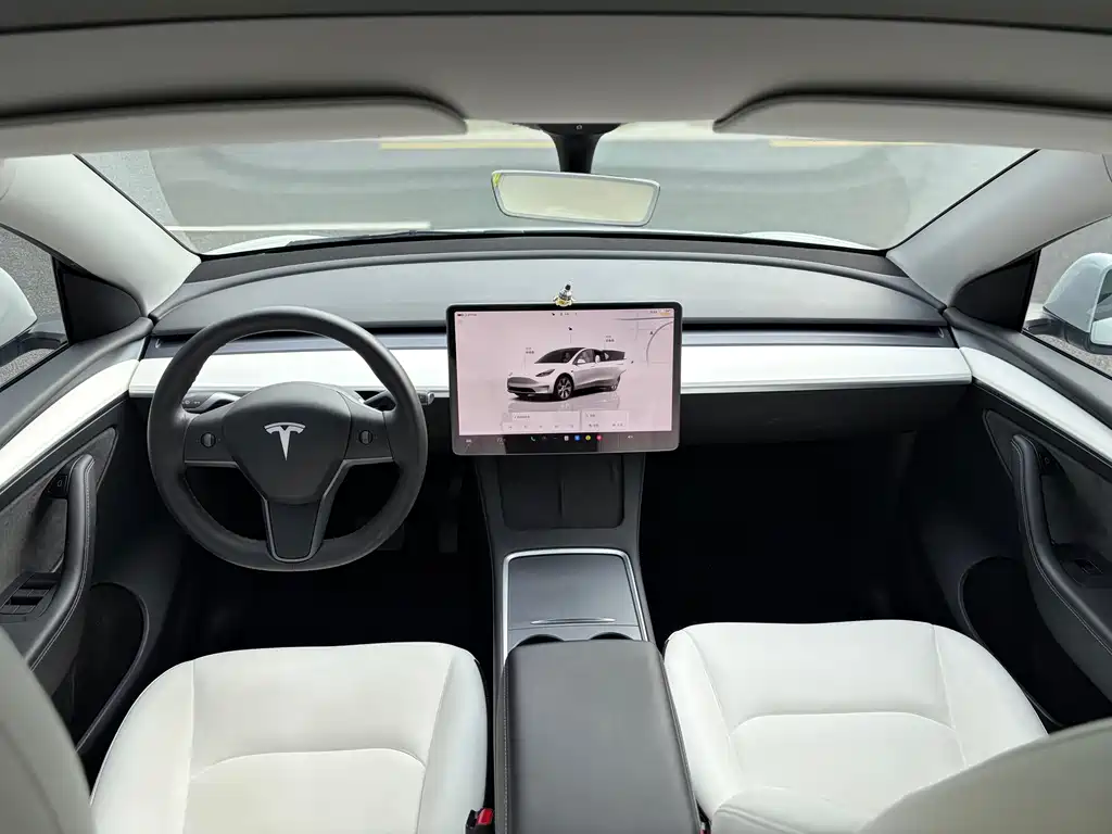 Tesla Model Y — миниатюра 6