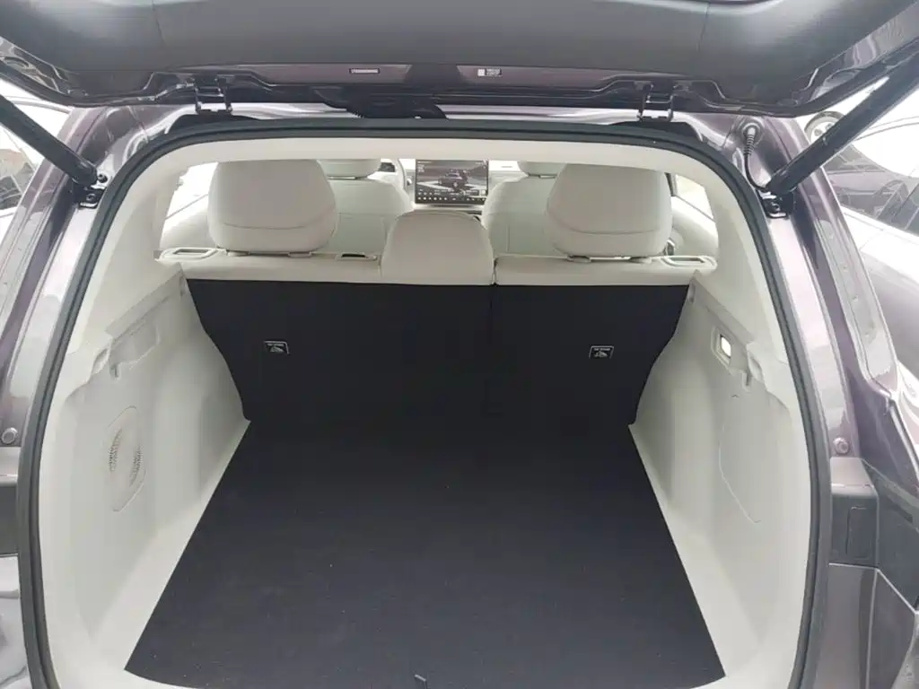 Leapmotor Leapmotor B10 — миниатюра 19