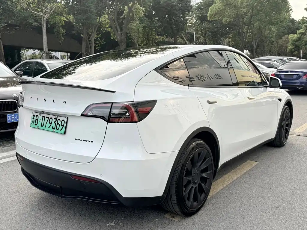 Tesla Model Y — миниатюра 4