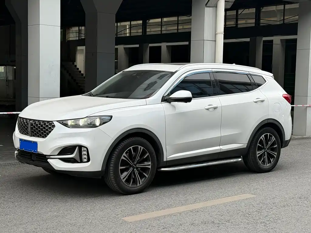 WEI PAI WEI BRAND VV6