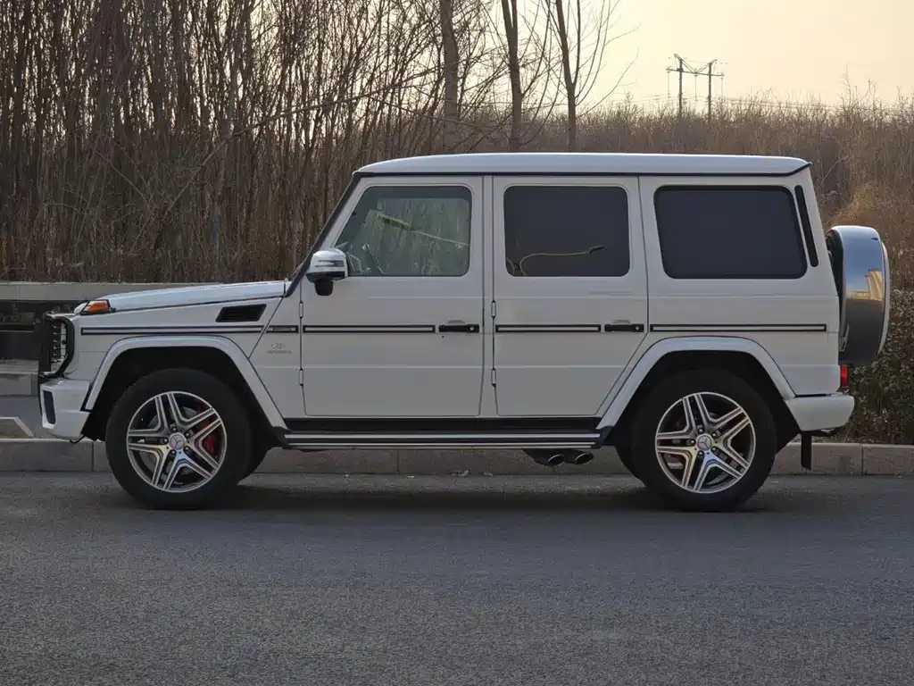 Mercedes-Benz G-Class A MG G AMG 2013 AMG G 63