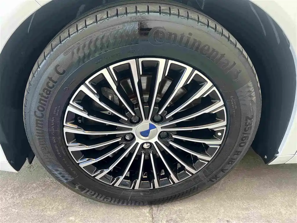 Denza Denza D9 — миниатюра 21
