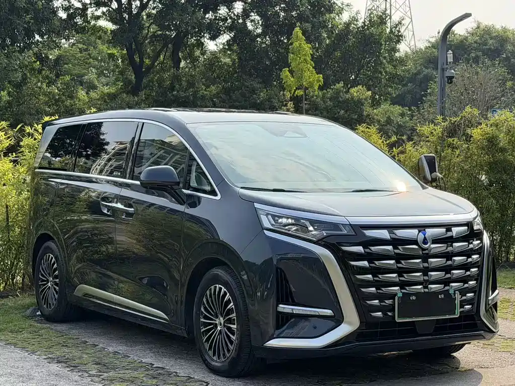 Denza Denza D9 — миниатюра 3