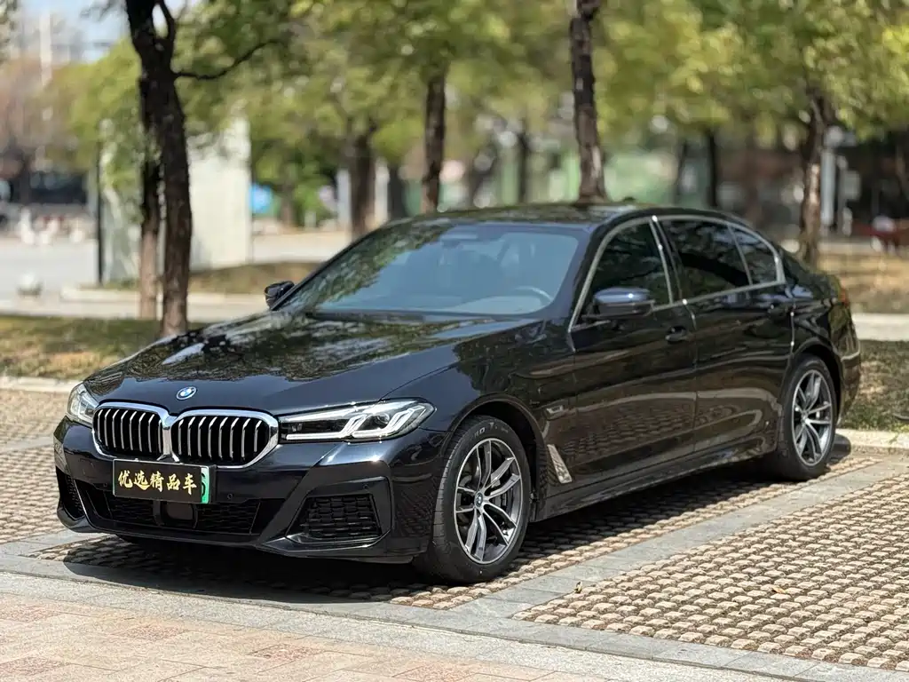 BMW 5 Series New Energy 2023