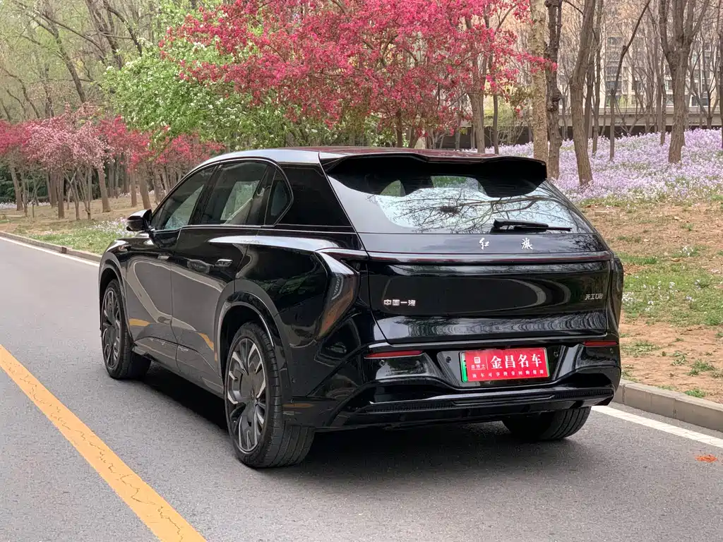 Hongqi Hongqi Tiangong 08 — миниатюра 5