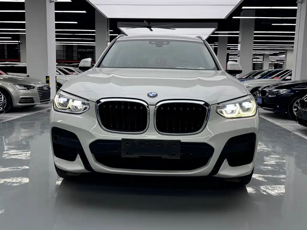 BMW X3 — миниатюра 2