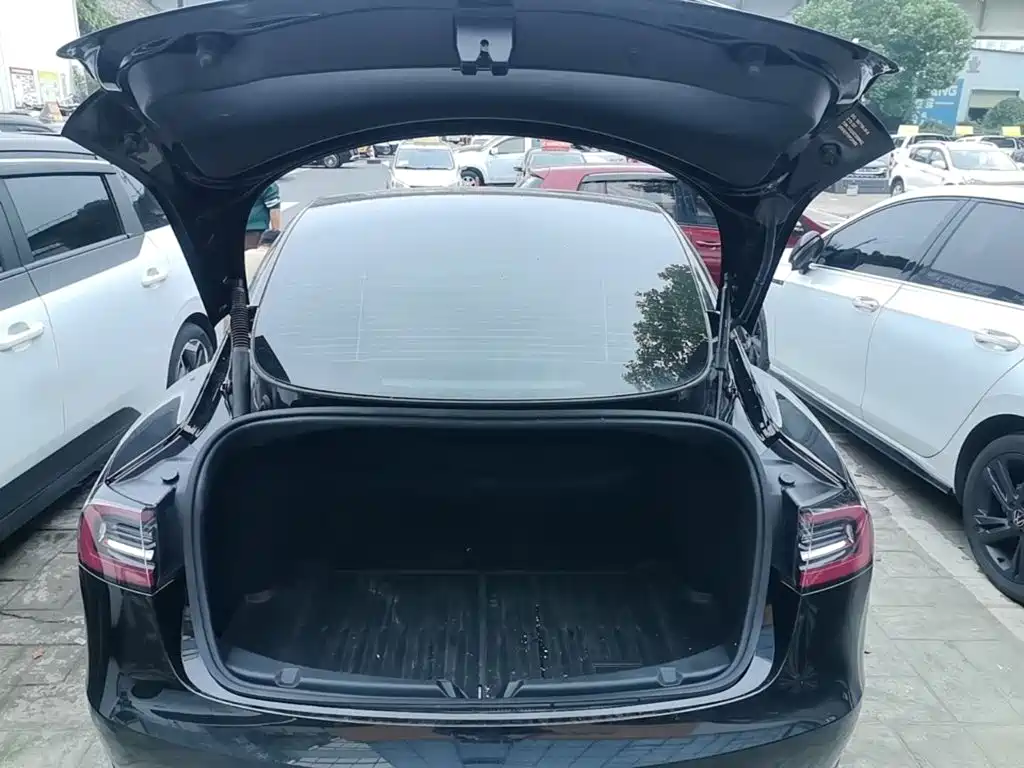 Tesla Model 3 — миниатюра 19