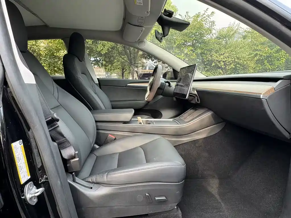 Tesla Model Y — миниатюра 13