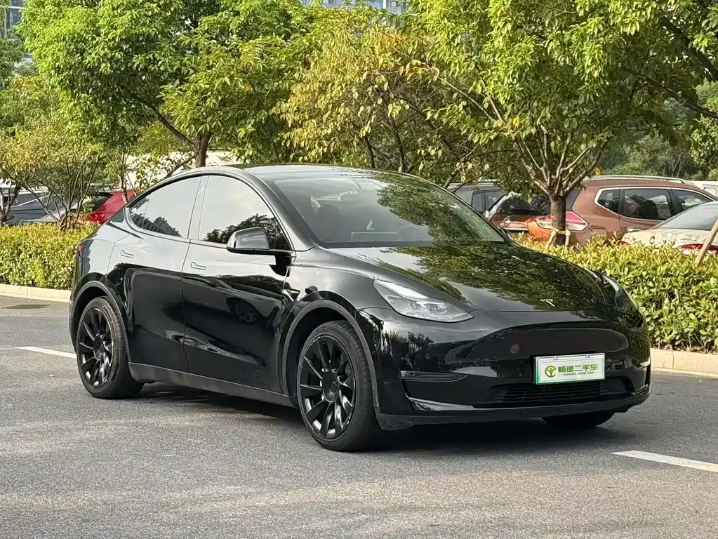 Tesla Model Y — миниатюра 4