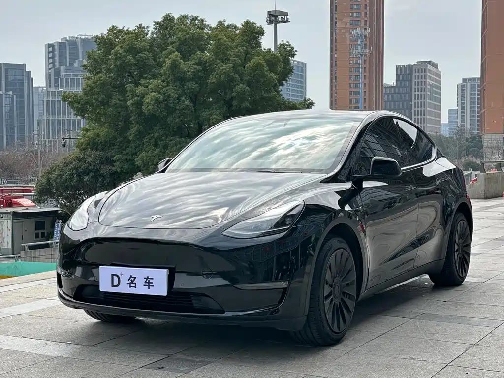 Tesla Model Y 2021
