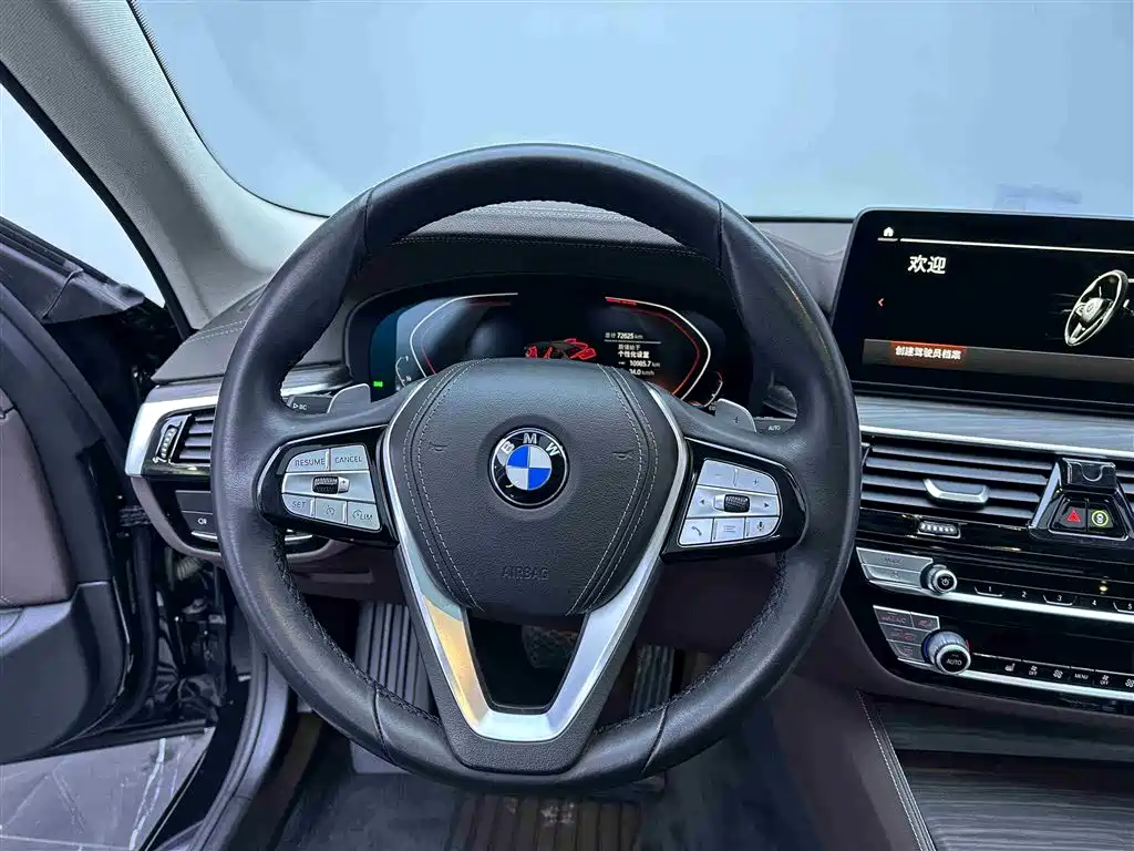 BMW 5 SERIES