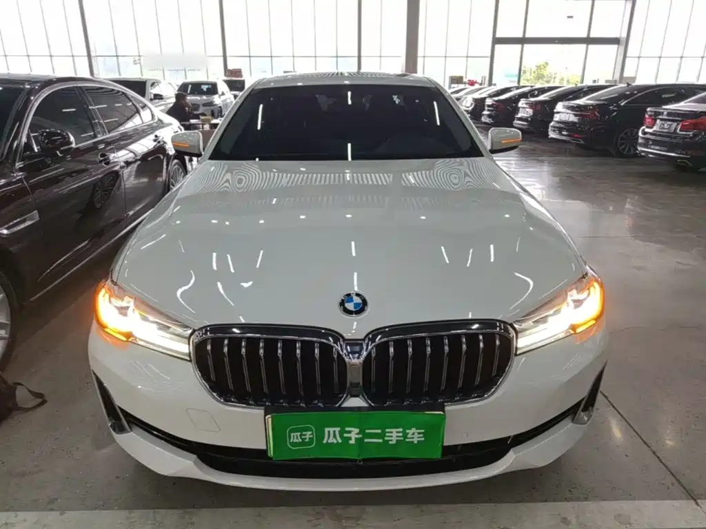 BMW 5 Series New Energy — миниатюра 3