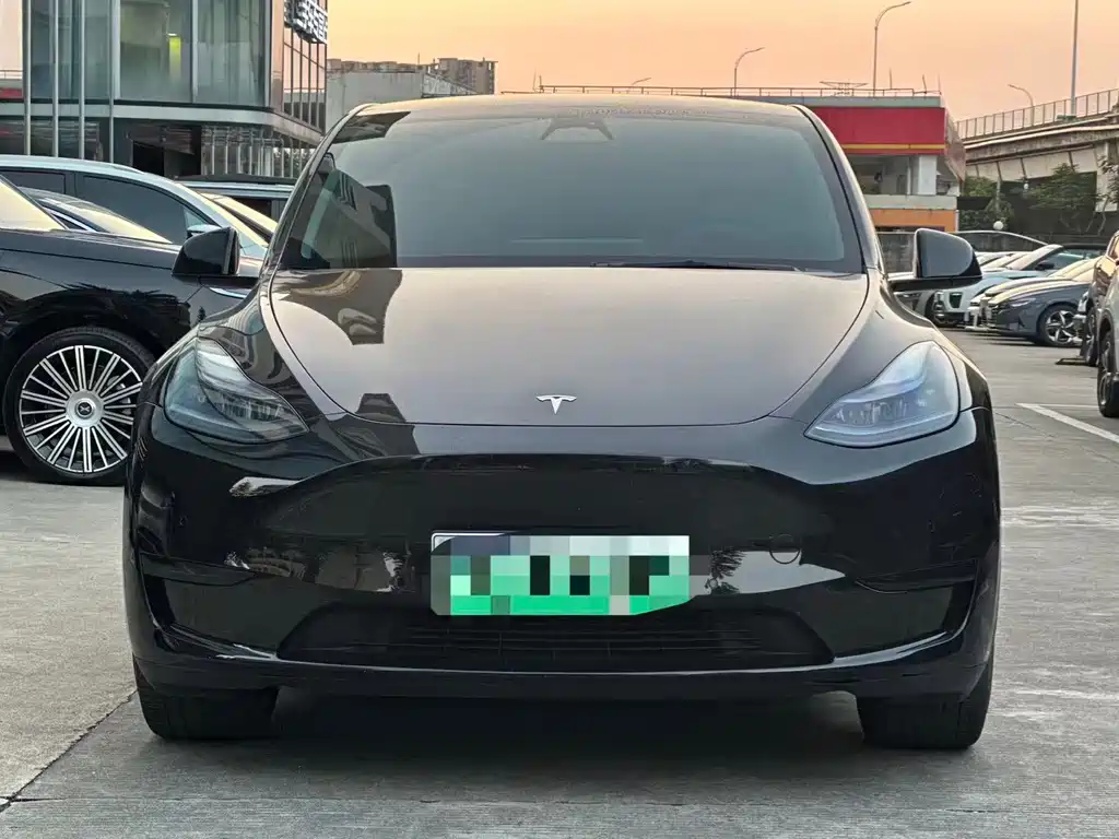 Tesla Model Y — миниатюра 2