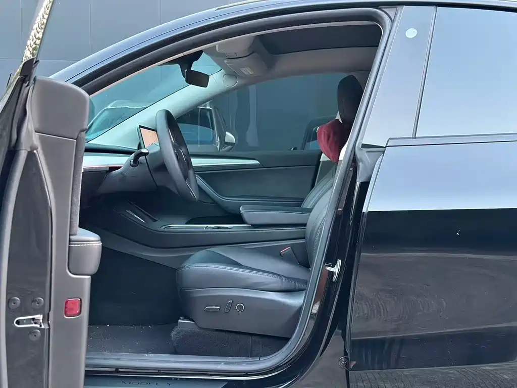 Tesla Model Y — миниатюра 3
