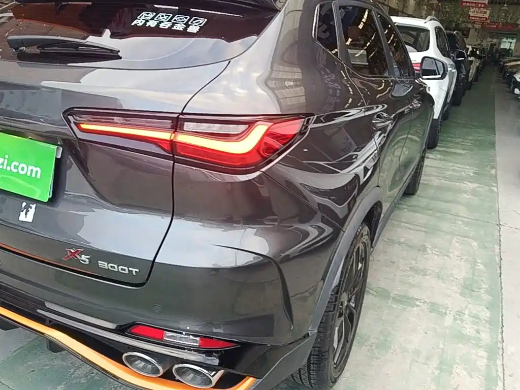 Oshan Oushang X5 — миниатюра 8